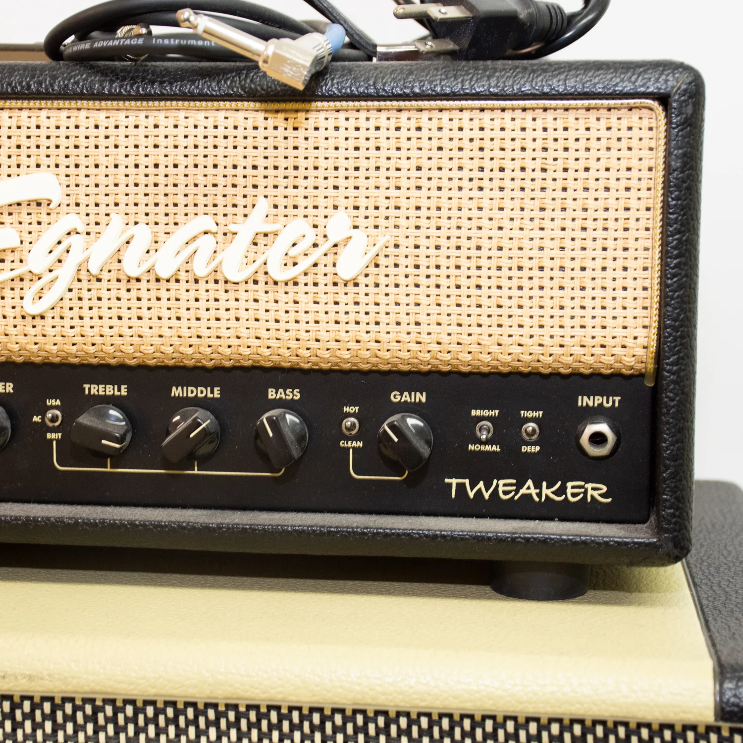 Egnater Tweaker Tube Amp Head & Rebel 112x Amp Combo - Image 4