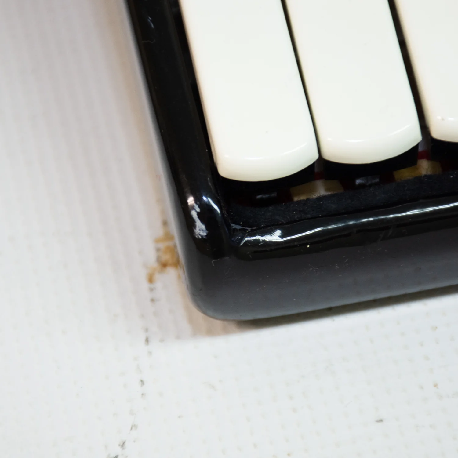 Royal Standard Silvana 2321 Accordion - Image 4