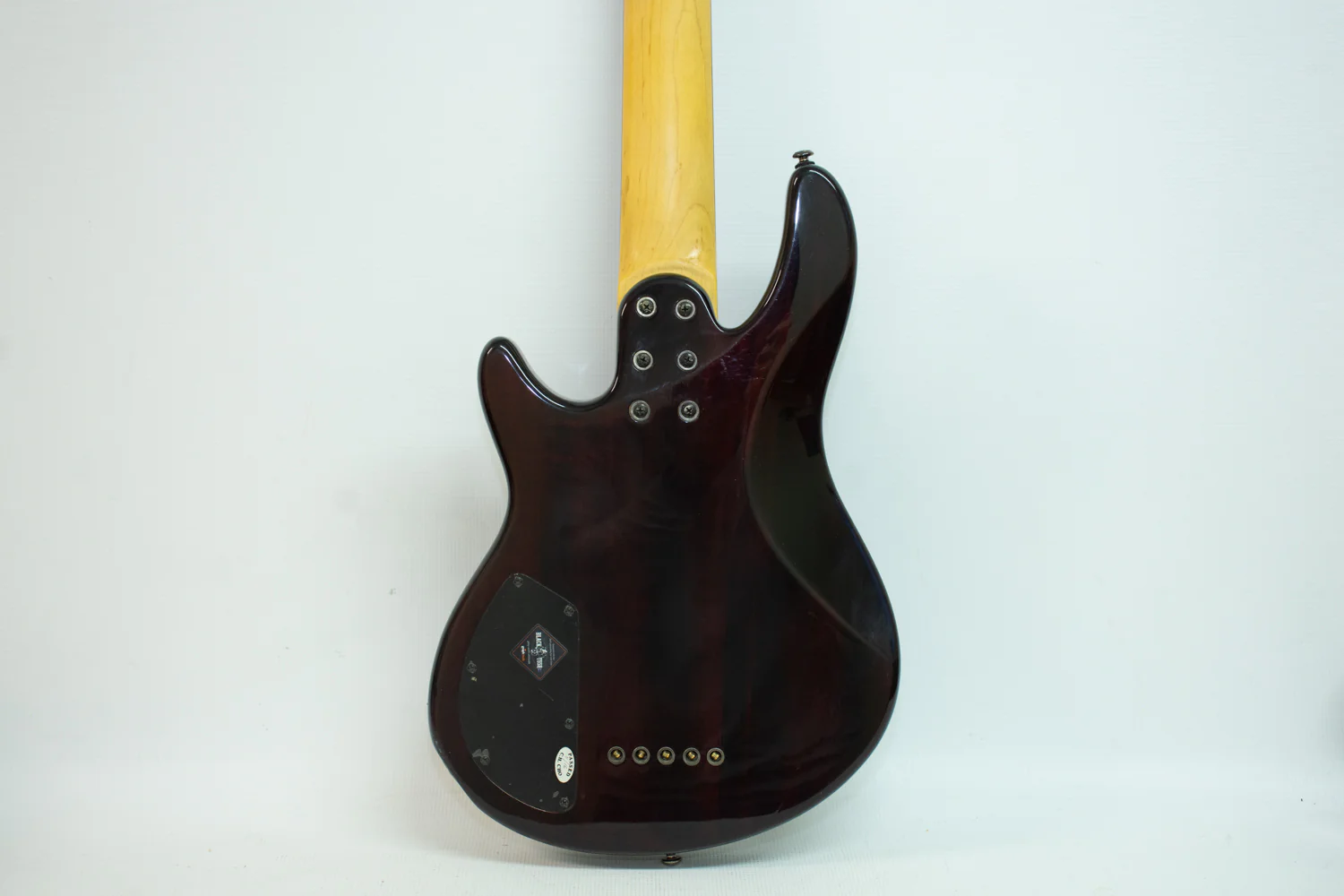 Schecter Diamond Raiden Special 5-String Bass Guitar - Image 10